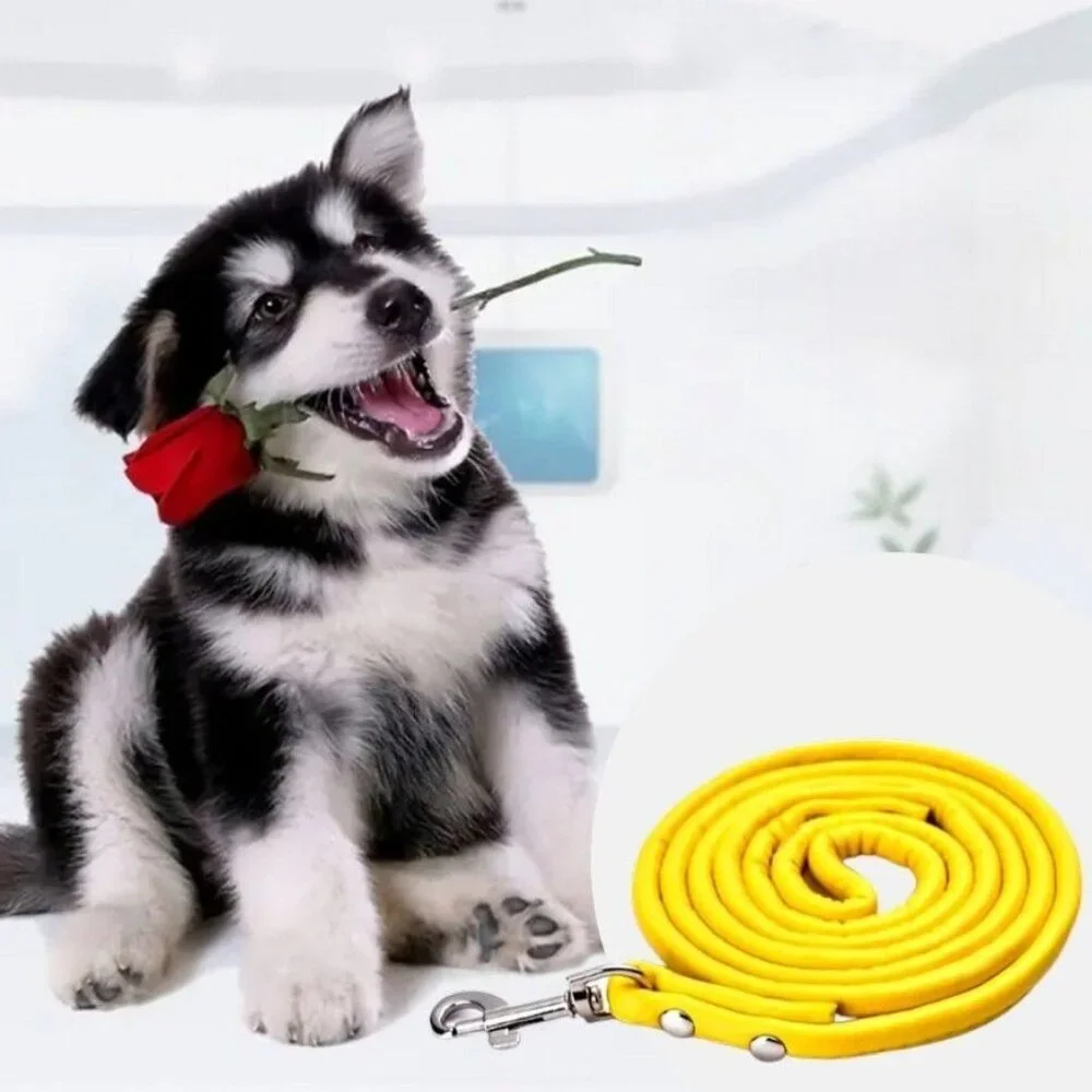 Xander Rey Yellow Leather Dog Leash Gift Packaged